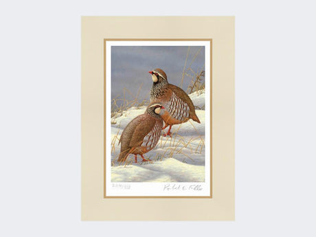 Red-Legged-Partridges-in-Snow-Print-Mounted-Print-Only