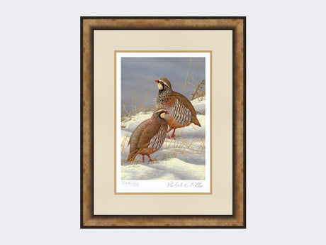 Red-Legged-Partridges-in-Snow-Print-Small-Light-Burr