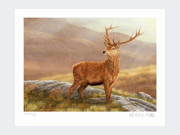 Red Stag | Limited Edition Art Print