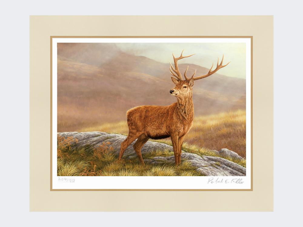 Red-Stag-Print-Mounted-Print-Only