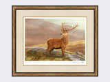 Red-Stag-Print-Small-Light-Burr