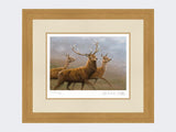 Red-Stag-and-Hinds-Light-Oak