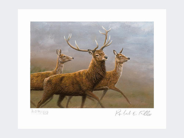 Red Stag and Hinds | Limited Edition Art Print