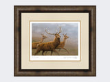 Red-Stag-and-Hinds-Medium-Dark-Grey-Burr