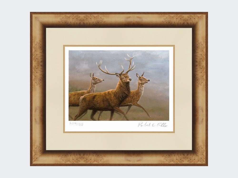 Red-Stag-and-Hinds-Medium-Light-Burr