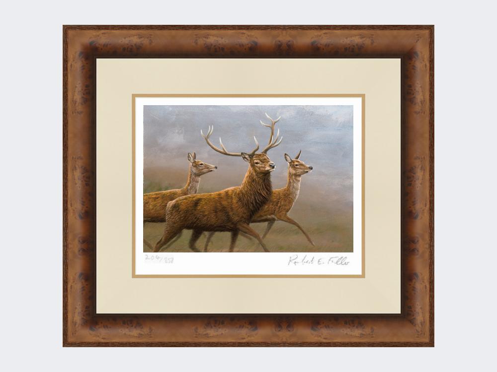 Red-Stag-and-Hinds-Medium-Walnut-Burr