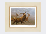 Red-Stag-and-Hinds-Mounted-Print-Only