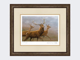 Red-Stag-and-Hinds-Small-Dark-Grey-Burr