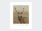 Red-Stag-of-Etive-Print-Loose-Print-Only