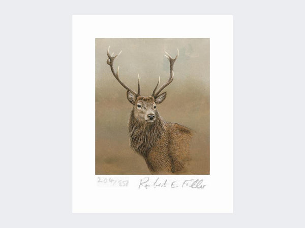 Red Stag of Etive | Limited Edition Art Print