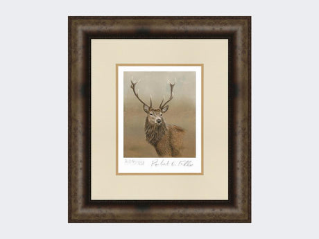 Red-Stag-of-Etive-Print-Medium-Dark-Grey-Burr