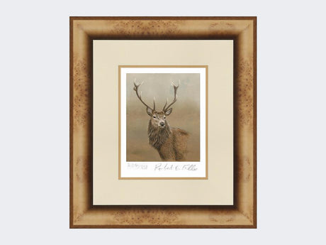 Red-Stag-of-Etive-Print-Medium-Light-Burr