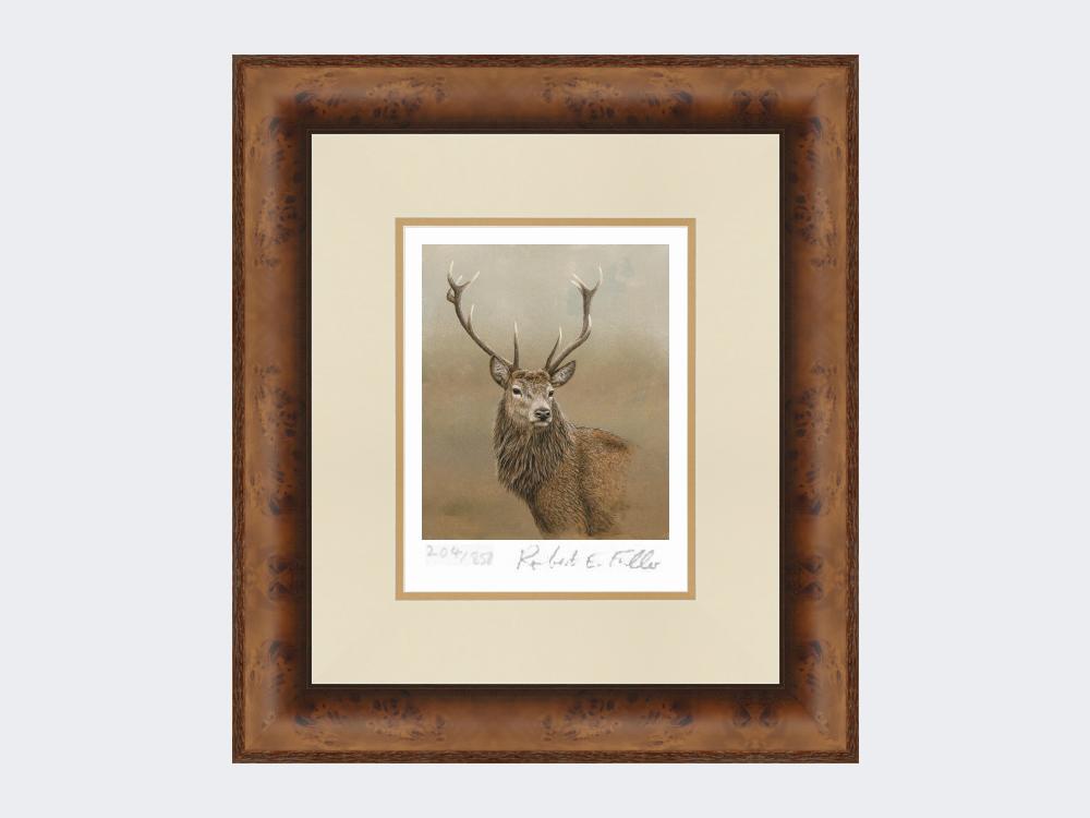 Red-Stag-of-Etive-Print-Medium-Walnut-Burr