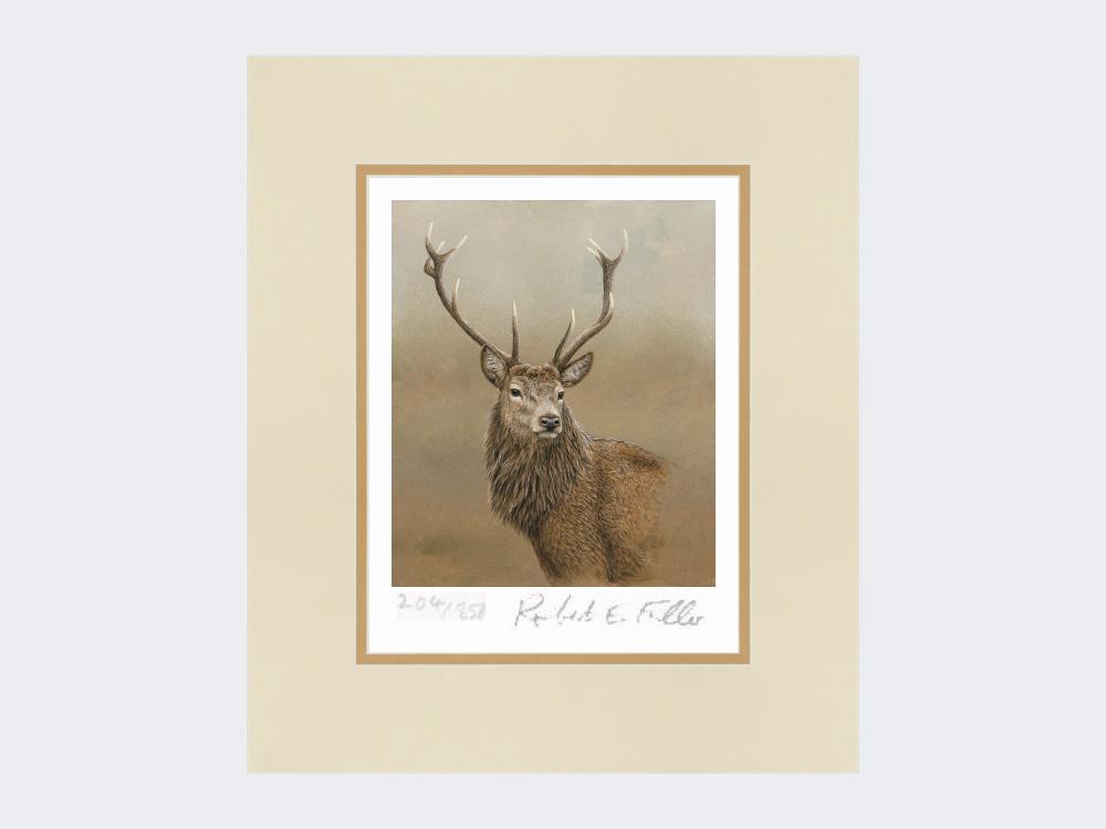 Red-Stag-of-Etive-Print-Mounted-Print-Only