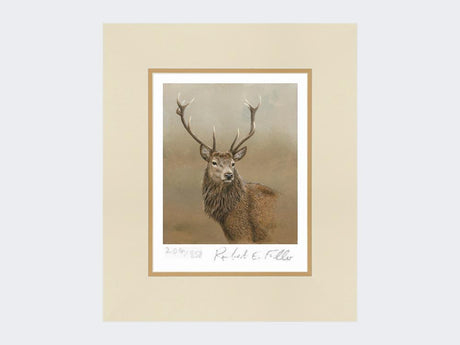 Red-Stag-of-Etive-Print-Mounted-Print-Only