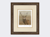 Red-Stag-of-Etive-Print-Small-Dark-Grey-Burr