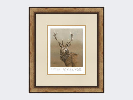 Red-Stag-of-Etive-Print-Small-Light-Burr