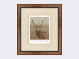 Red-Stag-of-Etive-Print-Small-Walnut-Burr