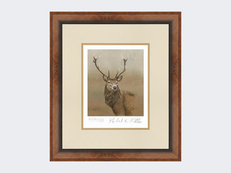 Red-Stag-of-Etive-Print-Small-Walnut-Burr