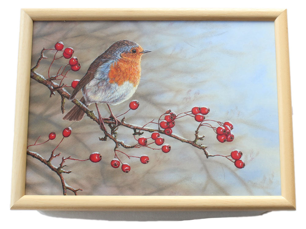 Robin-on-Hawthorn-Laptray