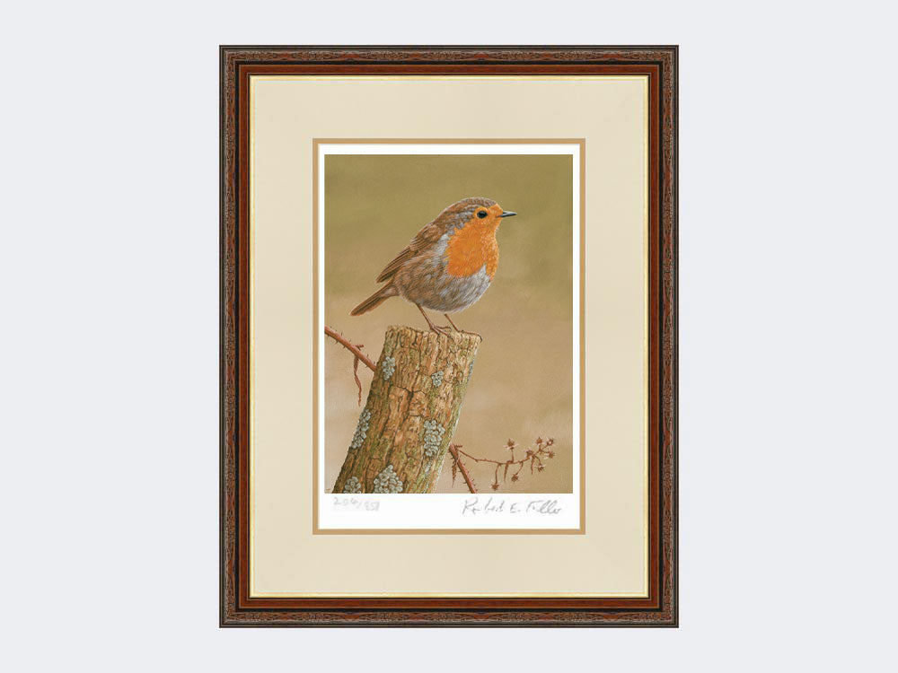 Robin on post | Limited Edition Art Print