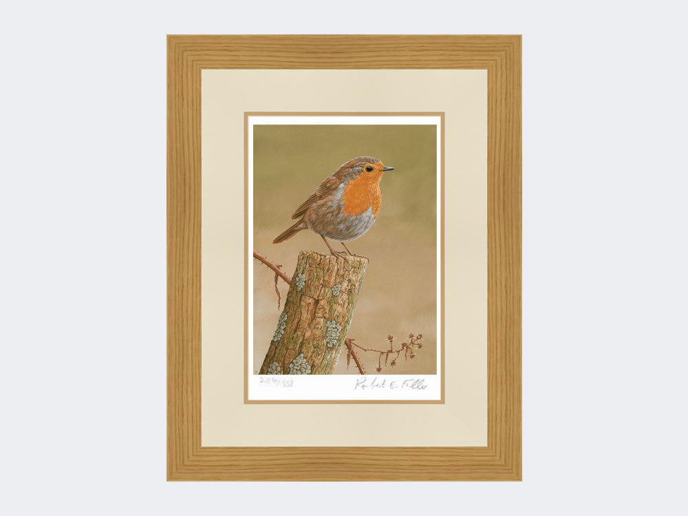 Robin on post | Limited Edition Art Print