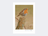 Robin on post | Limited Edition Art Print