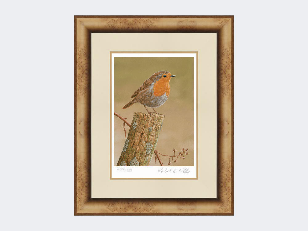 Robin on post | Limited Edition Art Print