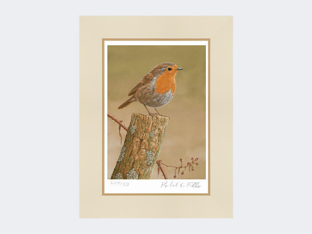 Robin on post | Limited Edition Art Print