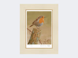 Robin on post | Limited Edition Art Print