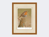 Robin on post | Limited Edition Art Print