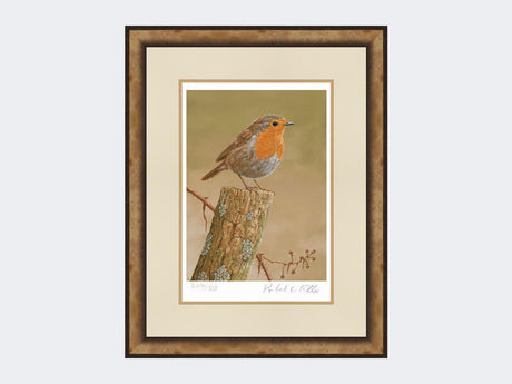 Robin on post | Limited Edition Art Print