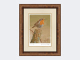 Robin on post | Limited Edition Art Print