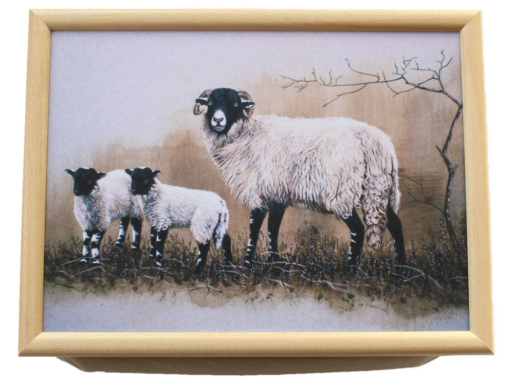 Sheep-and-Lambs-Laptray