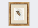 Snow-Hare-to-Go-Print-Medium-Light-Burr