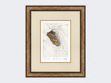 Snow-Hare-to-Go-Print-Small-Light-Burr