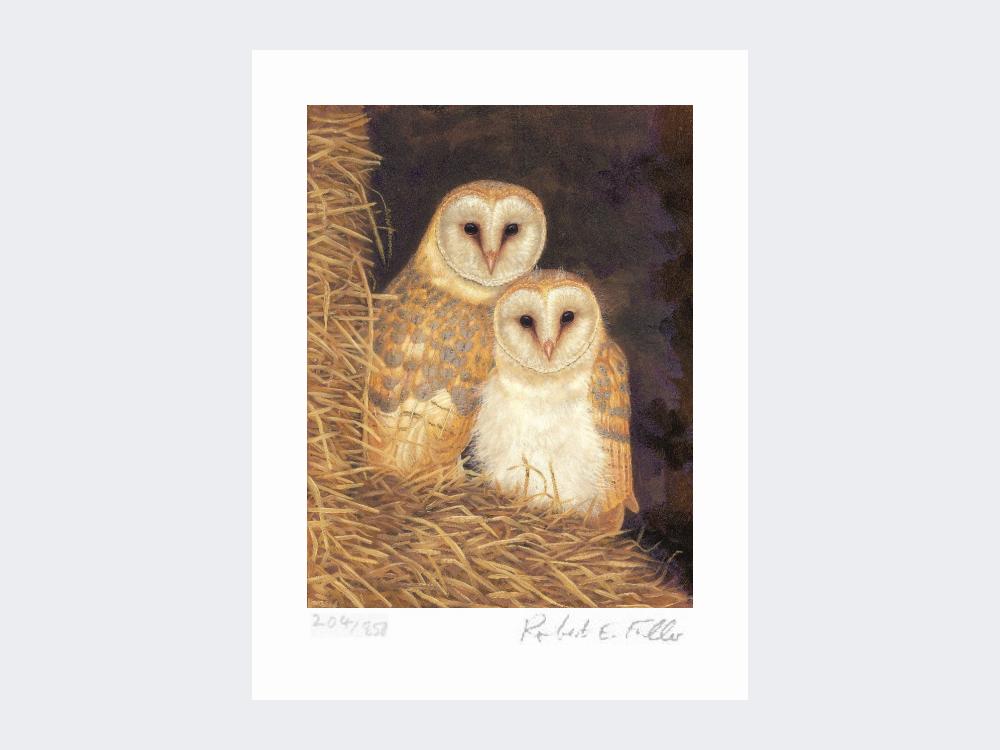 Snuggled-Up-Limited-Edition-Print-Loose-Print-Only