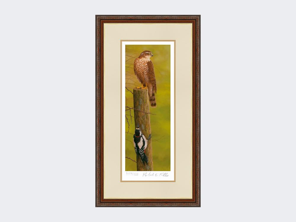 Sparrowhawk-and-Woodpecker-Print-Harvest-Twist