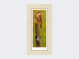 Sparrowhawk-and-Woodpecker-Print-Mounted-Print-Only