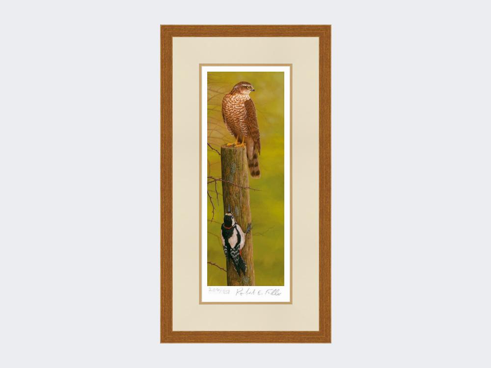 Sparrowhawk-and-Woodpecker-Print-Rustic-Country