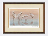 Spoonbills-Print-Harvest-Twist