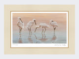 Spoonbills-Print-Mounted-Print-Only