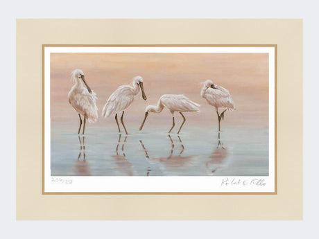 Spoonbills-Print-Mounted-Print-Only