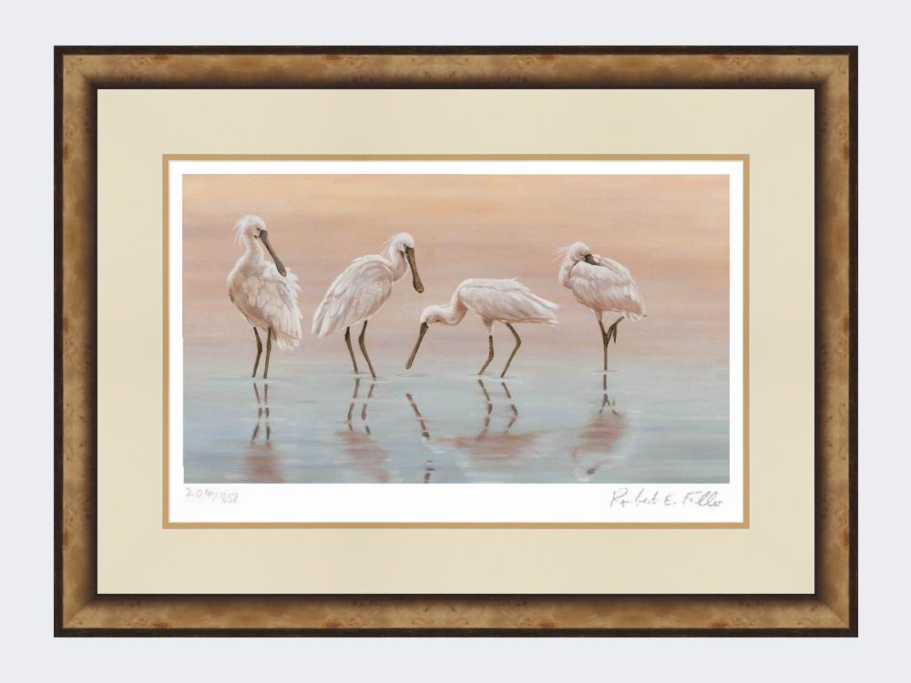 Spoonbills-Print-Small-Light-Burr