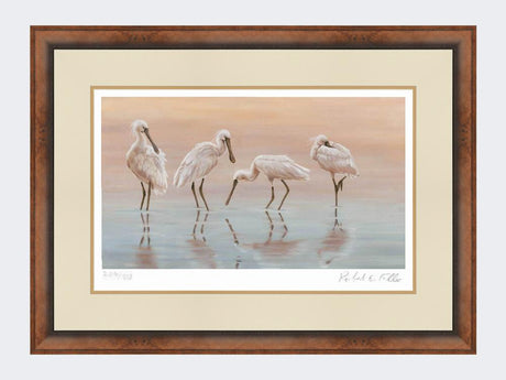 Spoonbills-Print-Small-Walnut-Burr