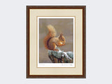 Squirrel-Nutkin-Print-Harvest-Twist