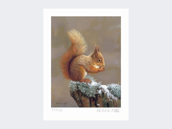 Squirrel Nutkin | Limited Edition Art Print