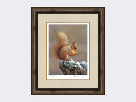 Squirrel-Nutkin-Print-Medium-Dark-Grey-Burr