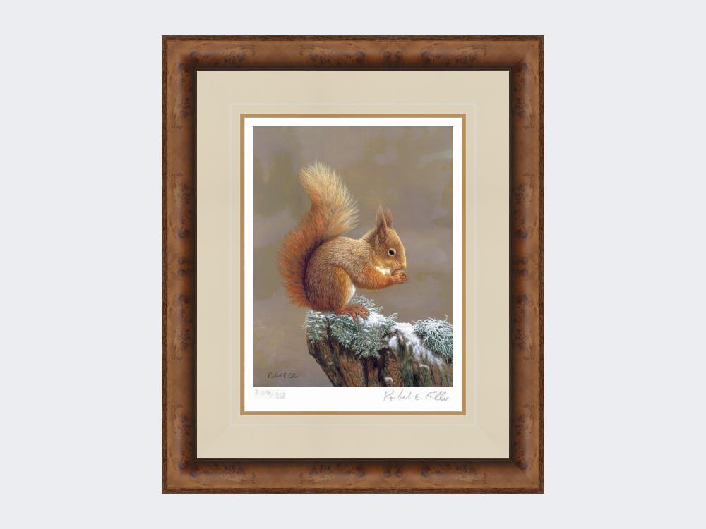 Squirrel-Nutkin-Print-Medium-Walnut-Burr