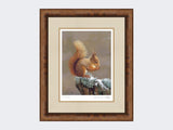 Squirrel-Nutkin-Print-Medium-Walnut-Burr